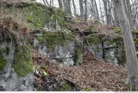 rock cliff overgrown moss 0007
